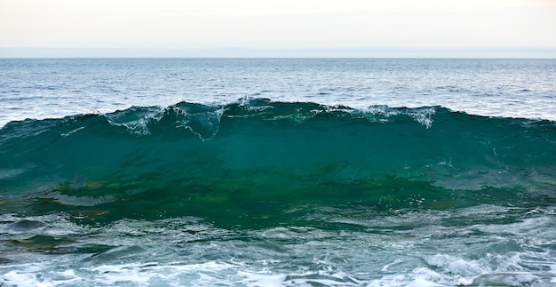 Storm wave on the coast of the Arctic