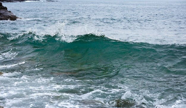 Storm wave on the coast of the Arctic