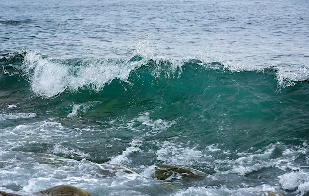 Storm wave on the coast of the Arctic