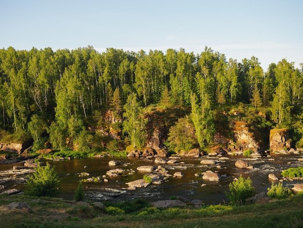 A stormy river among rocks and forests a beautiful landscape Mountain river with rapids Natural background or splash screen