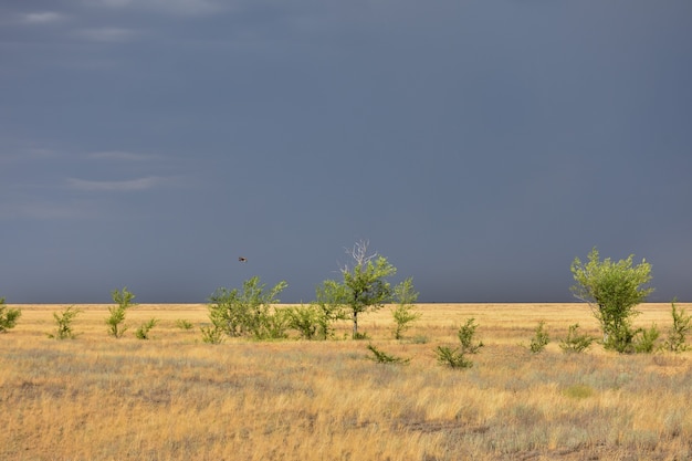 Stormy sky in the field, thunderstorm in the steppe, fire in the steppe