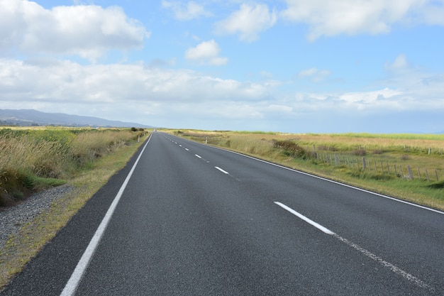 Straight asphalt road in Hauraki Plains