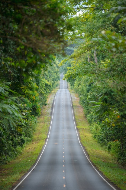 A straight steep road to entrance to Khao Yai national Park to see the beauty of the tropical forest in Khao Yai National Park. UNESCO World Heritage Area, Unseen Thailand.