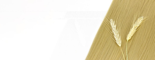 Strand of blond hair with sprigs of ripe wheat on white Curls of hair Blond wavy hair on white background Hairdresser service hair strength haircut hairstyle