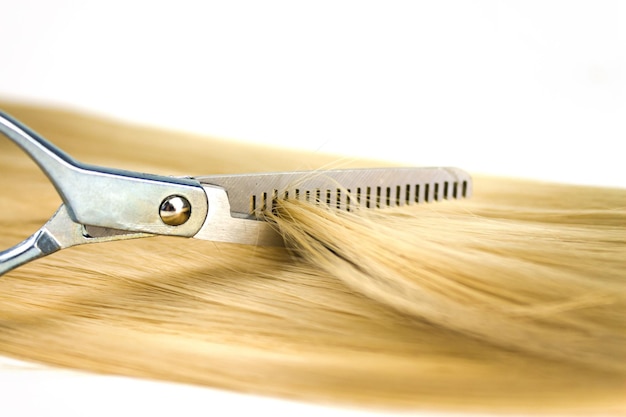 Strand of blonde hair with Hairdresser scissors hair care Hairdresser service hair strength haircut hairstyle Concept hairdresser spa salon