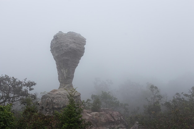 The strange stone Look like a trophy cup with mist in the morning at Pa Hin Ngam national park Chaiyaphum Thailand