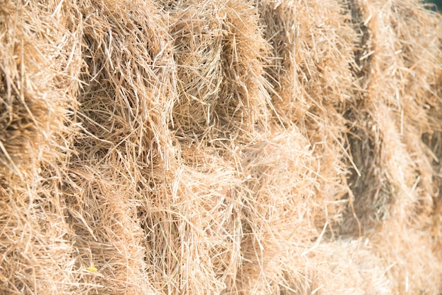 straw background texture