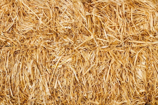 A straw bale texture in a close up view