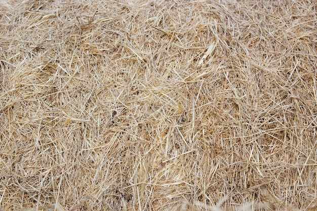 Straw bale texture