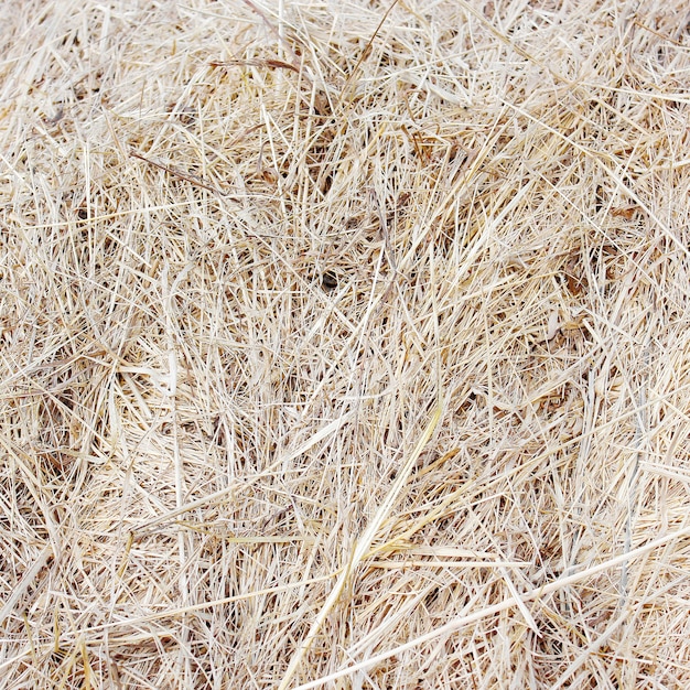 Straw bale texture