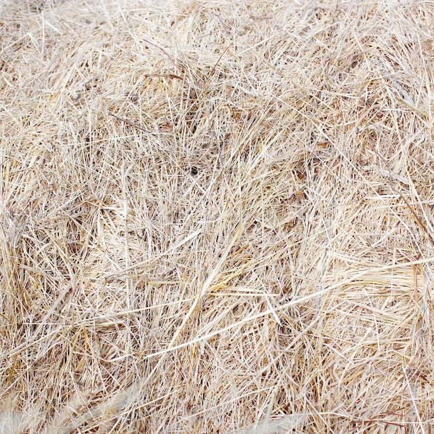 Straw bale texture