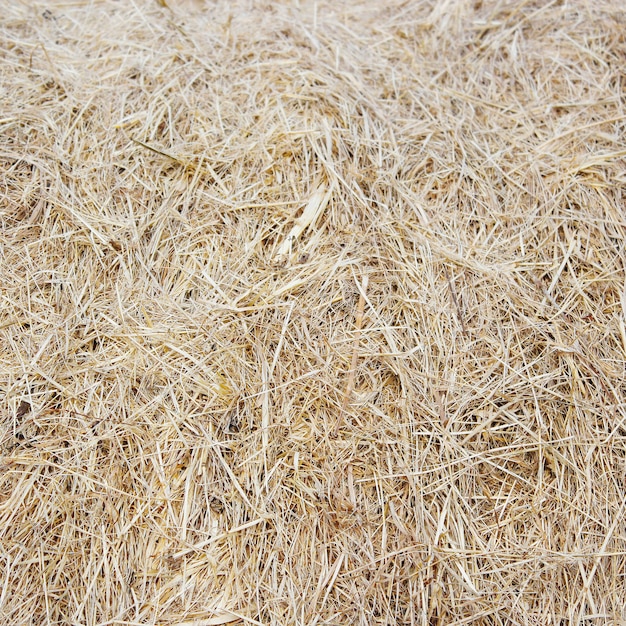 Straw bale texture