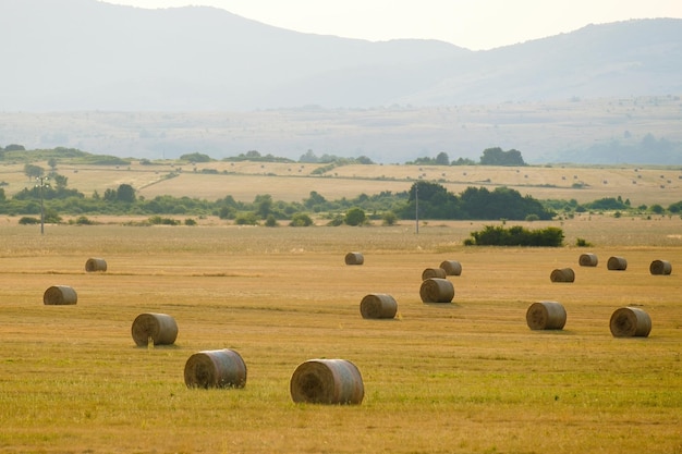 Straw bales scattered on harvested field against hills