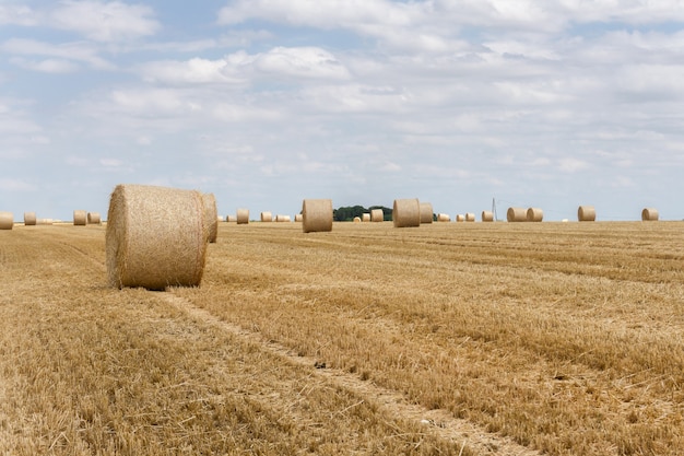 Straw bales stacked in a field at summer time