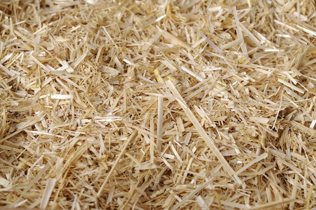 Straw in the farm close up background