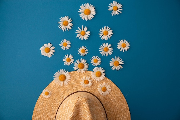 Straw hat and daisies around