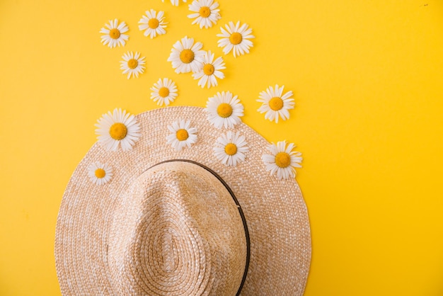 Straw hat and daisies around