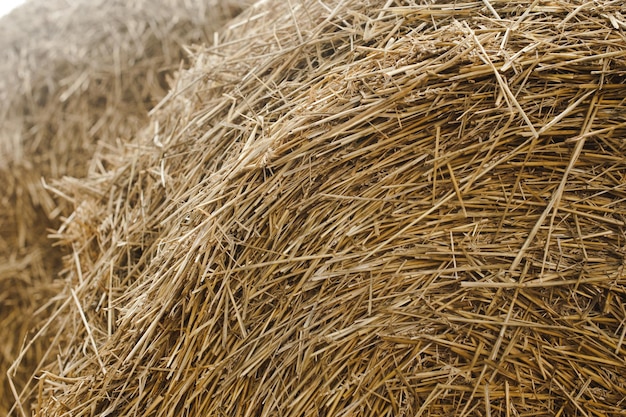 Straw texture background, close up. Close up of straw bale.