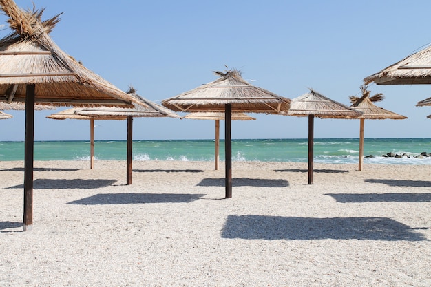 Straw umbrellas at empty beach on summer day