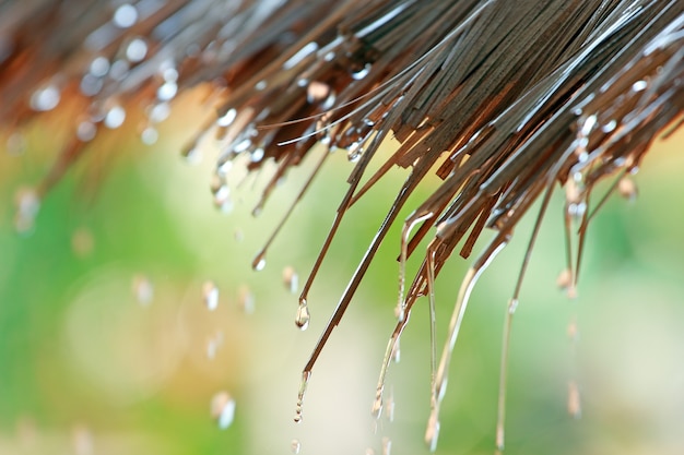 Straw with rain