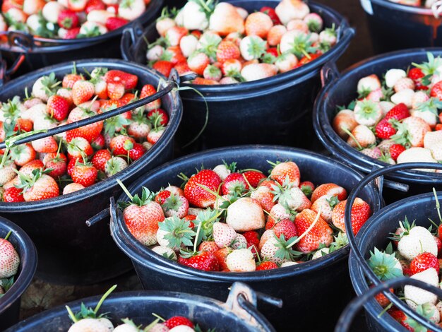 Strawberries in the black plastic bucket