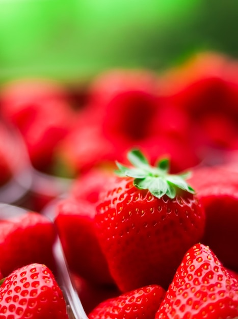 Strawberries packaged in box sweet ripe perfect strawberry harvest organic garden and agriculture