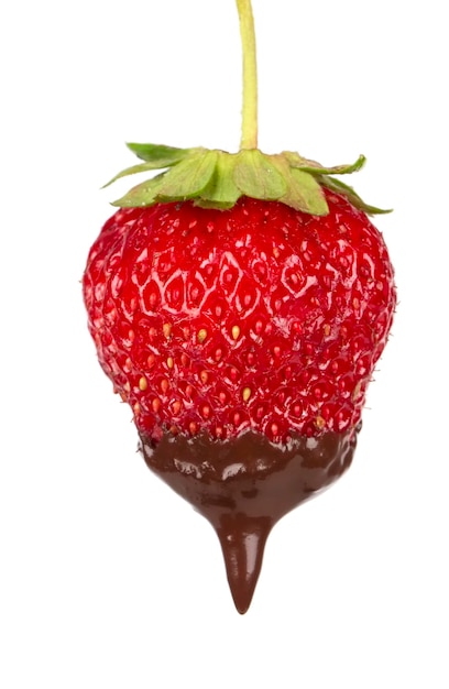 Strawberries with chocolate dipping isolated on white