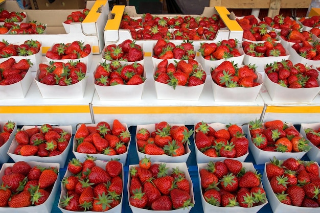 Strawberry boxes