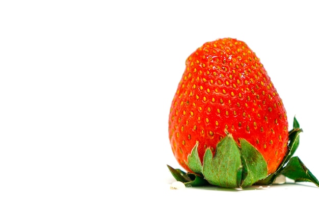 Strawberry fruit closeup isolated on white