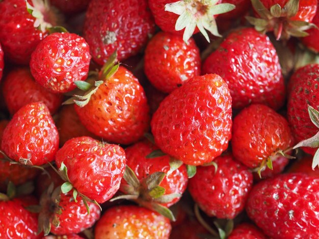 Strawberry fruit food