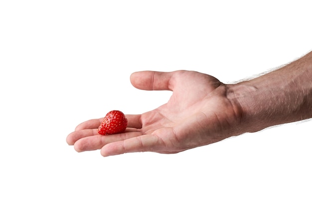 Strawberry in a man's hand on a white background Hand holding strawberry on white