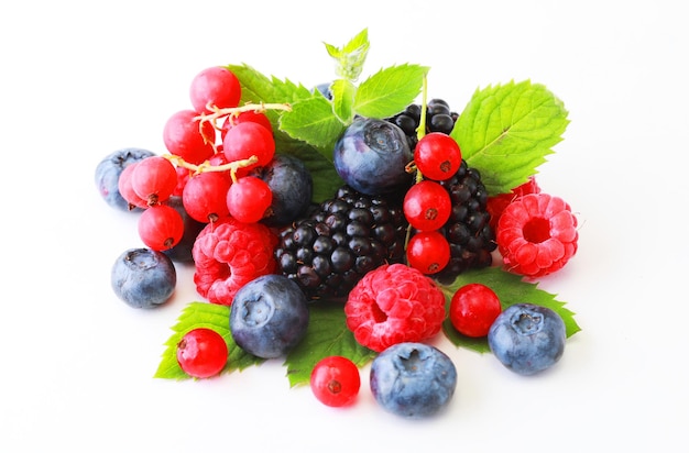 Strawberry Raspberry Red currant Blueberry and Mint leaf top view