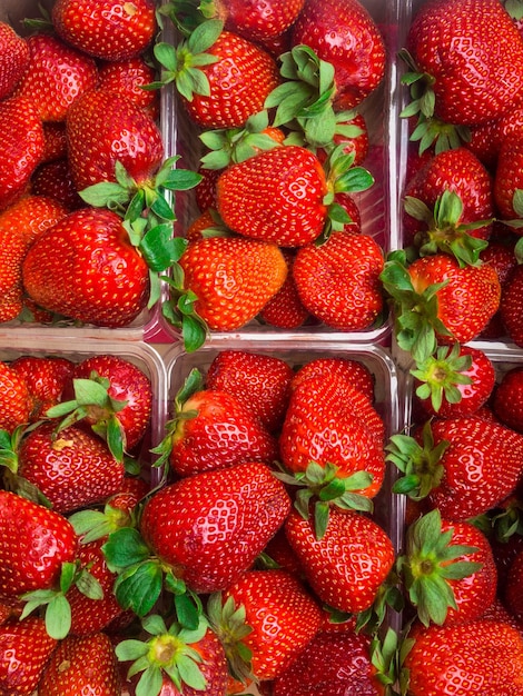 Strawberry ripe packed in plastic boxes