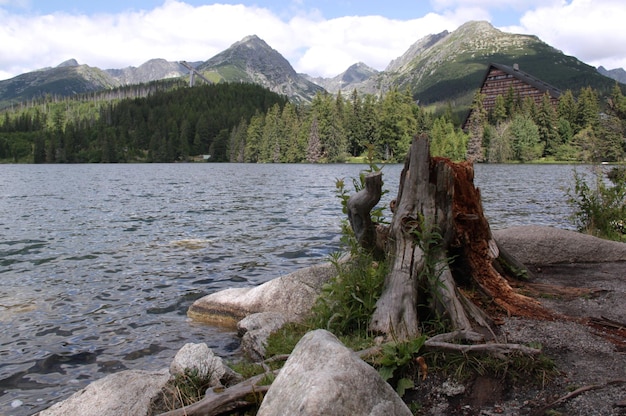 Photo strbske pleso lake mountains and pine trees and a stump in the foreground in tatra national park