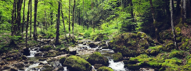 Stream at Cascade du Herisson in France