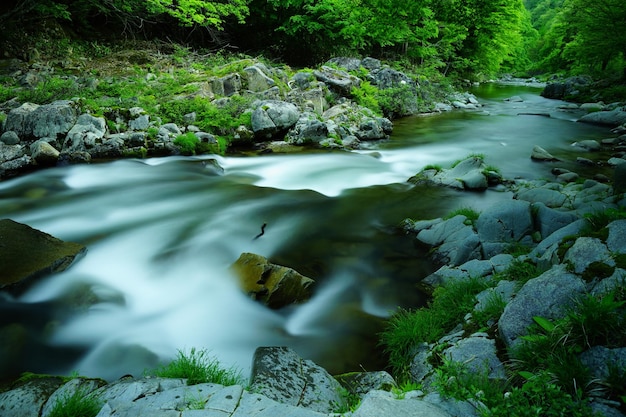 Photo stream flowing through rocks in forest