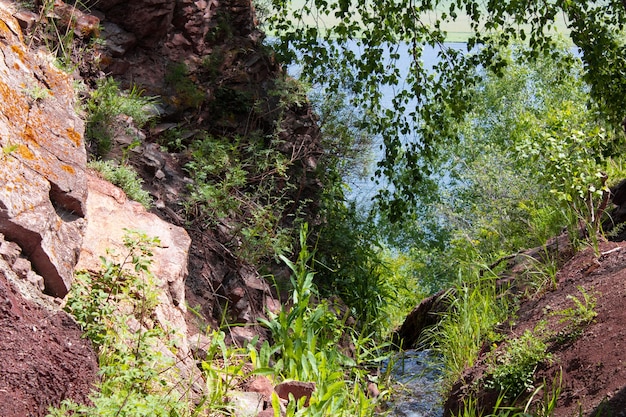 The stream flows into the lake between rocks and tree branches with green leaves in summer