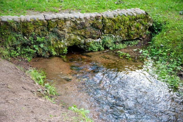 stream in the park