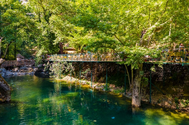 stream and picnic area. summer holiday