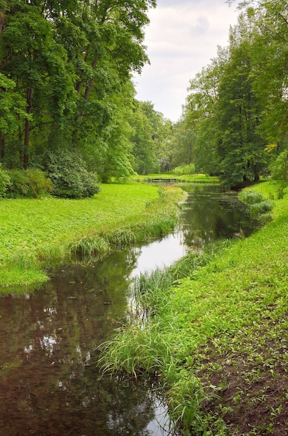 A stream in a summer Park. Picturesque green banks covered with grass and trees