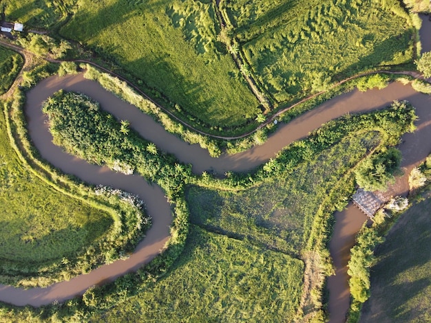 Streams meander in agricultural areas during the rainy season with plenty of water. Green and warm in the morning sunshine.