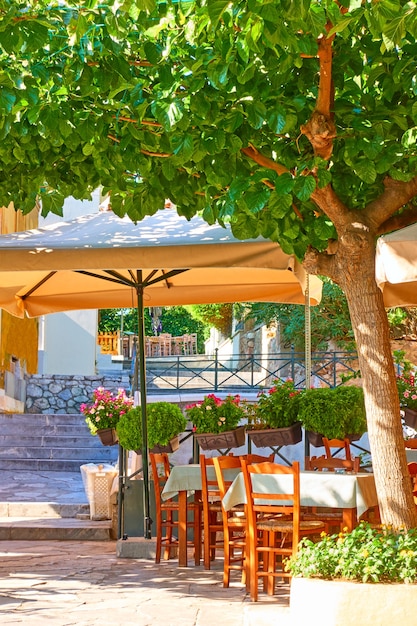 Street cafe with tables in a shade of trees in Plaka district in Athens, Greece