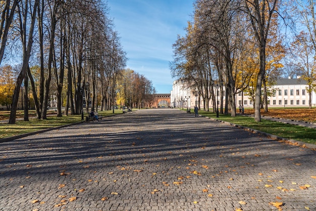 A street in the city of st. petersburg