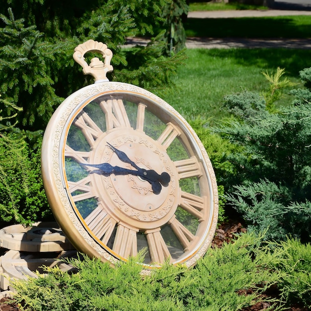 Street clock in a park under branches of trees close up