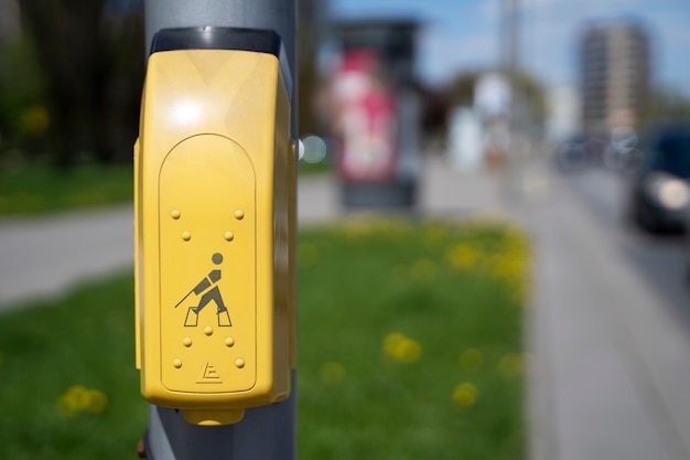 Street crossing device with braille