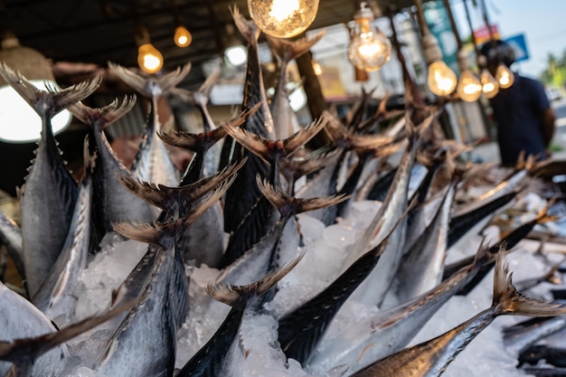 Street fish market Fresh catch of fish in ice