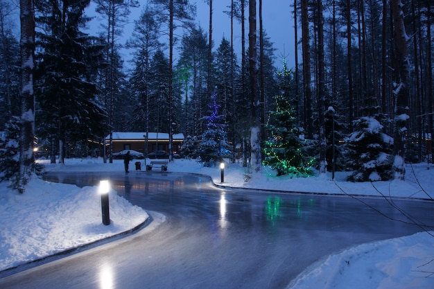 Street ice skating rink in the middle of the forest with bright lanterns