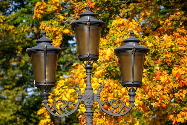 Street lamp on a background of autumn leaves.