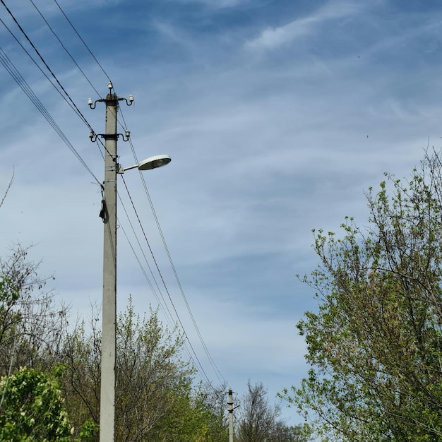 A street light is on a pole in the middle of a forest.