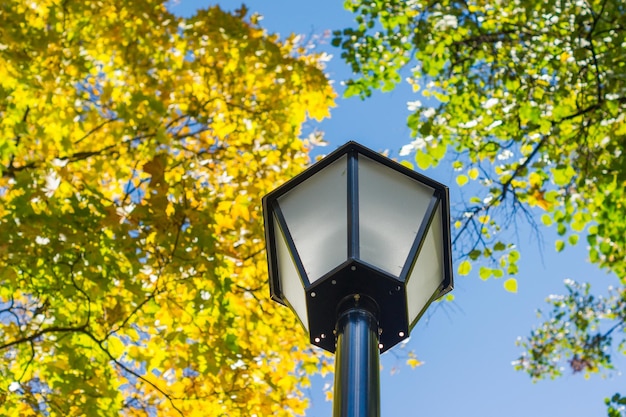 Street light in the park